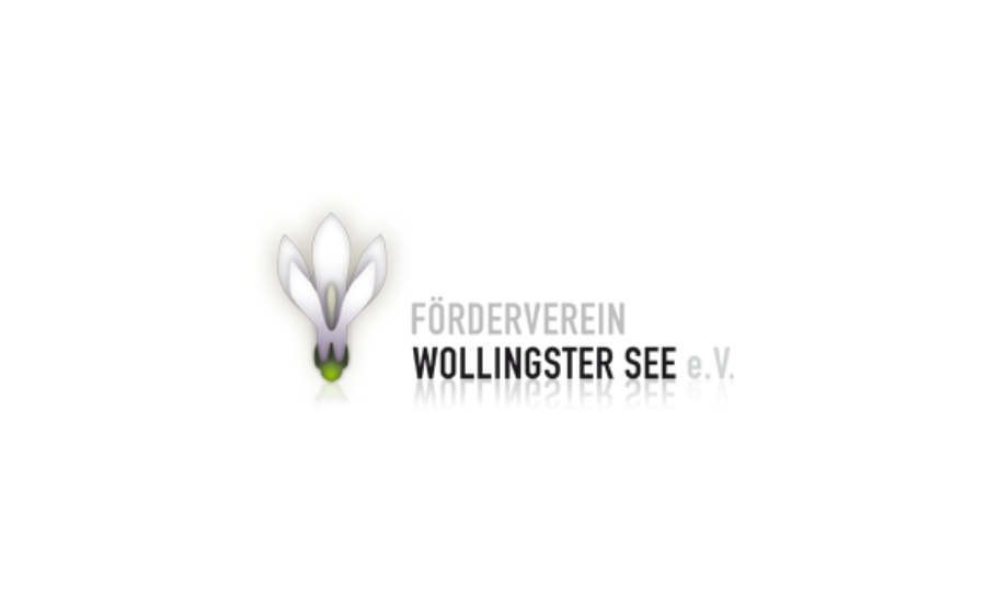 Wollinger Logo V08 290x128 Transparent